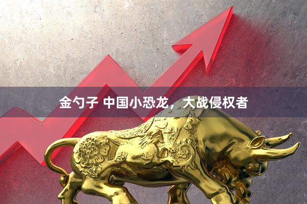金勺子 中国小恐龙，大战侵权者