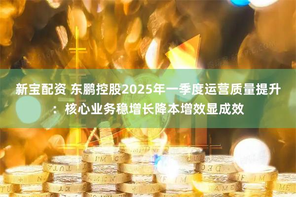 新宝配资 东鹏控股2025年一季度运营质量提升：核心业务稳增长降本增效显成效