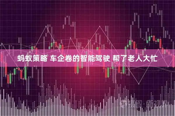 蚂蚁策略 车企卷的智能驾驶 帮了老人大忙