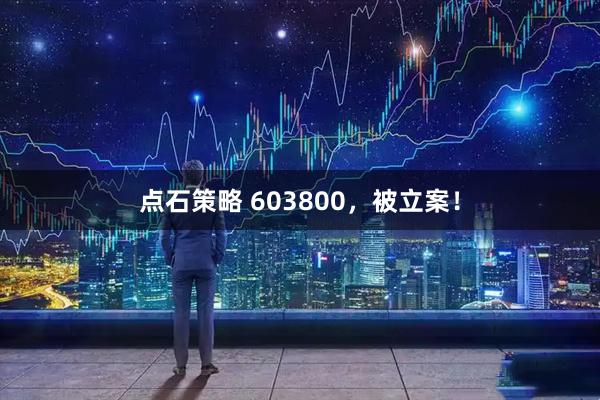 点石策略 603800，被立案！