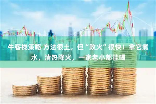 牛客栈策略 方法很土，但“败火”很快！拿它煮水，清热降火，一家老小都能喝